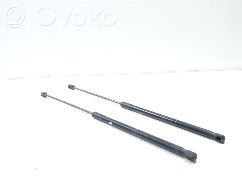 Land Rover Range Rover Evoque L538 Tailgate/trunk strut/damper 