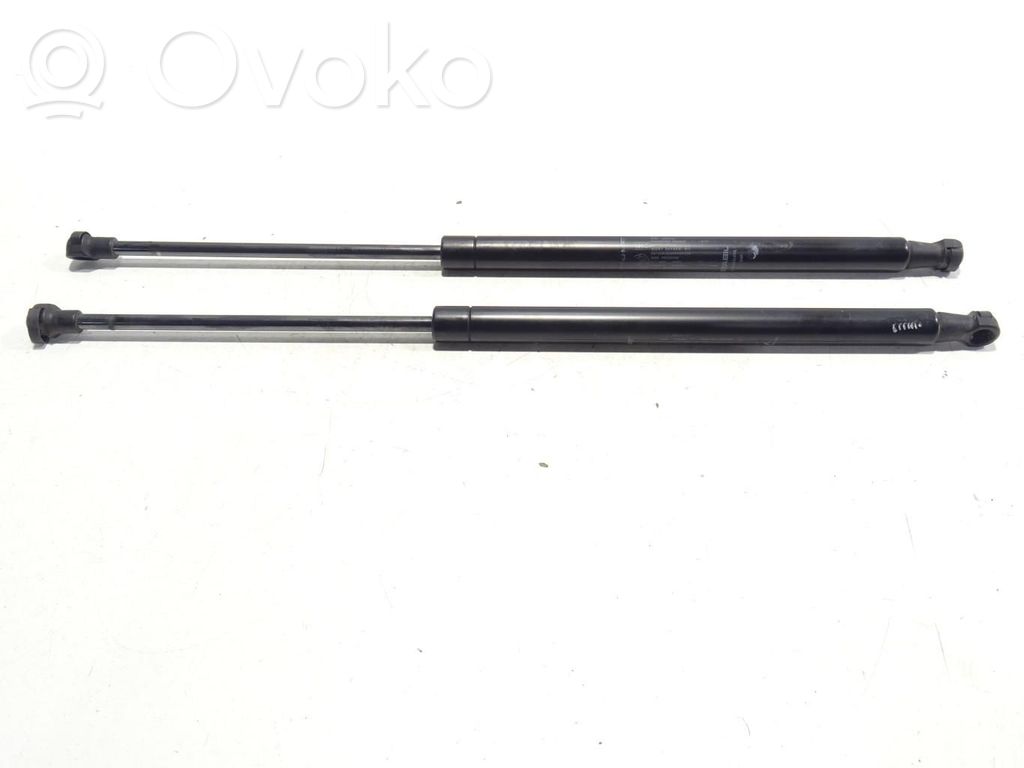 Fiat 500 Tailgate/trunk strut/damper 