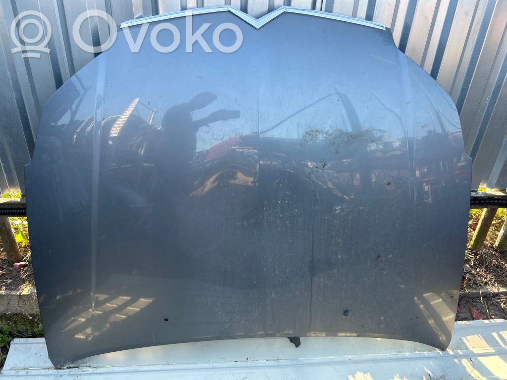 Engine bonnet/hood