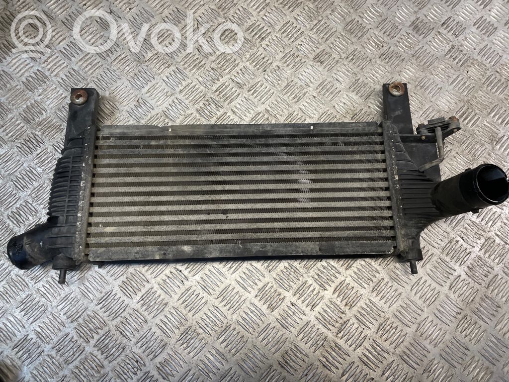 Nissan Pathfinder R51 Interkūlerio radiatorius 