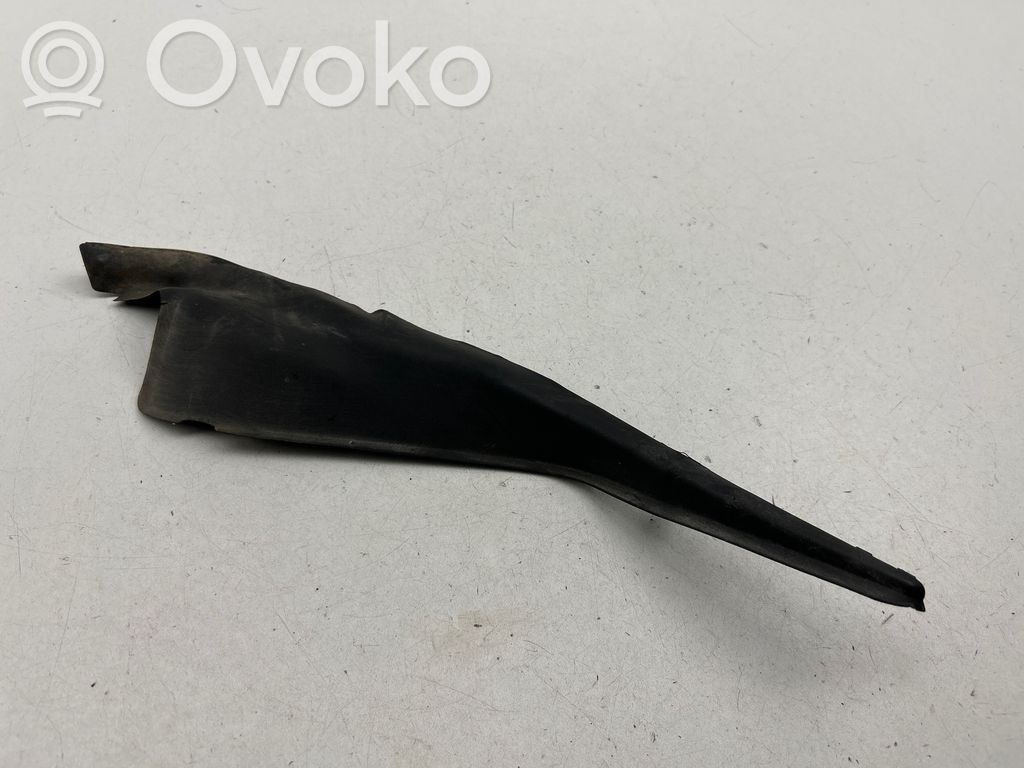 Chrysler Pacifica Windshield trim 