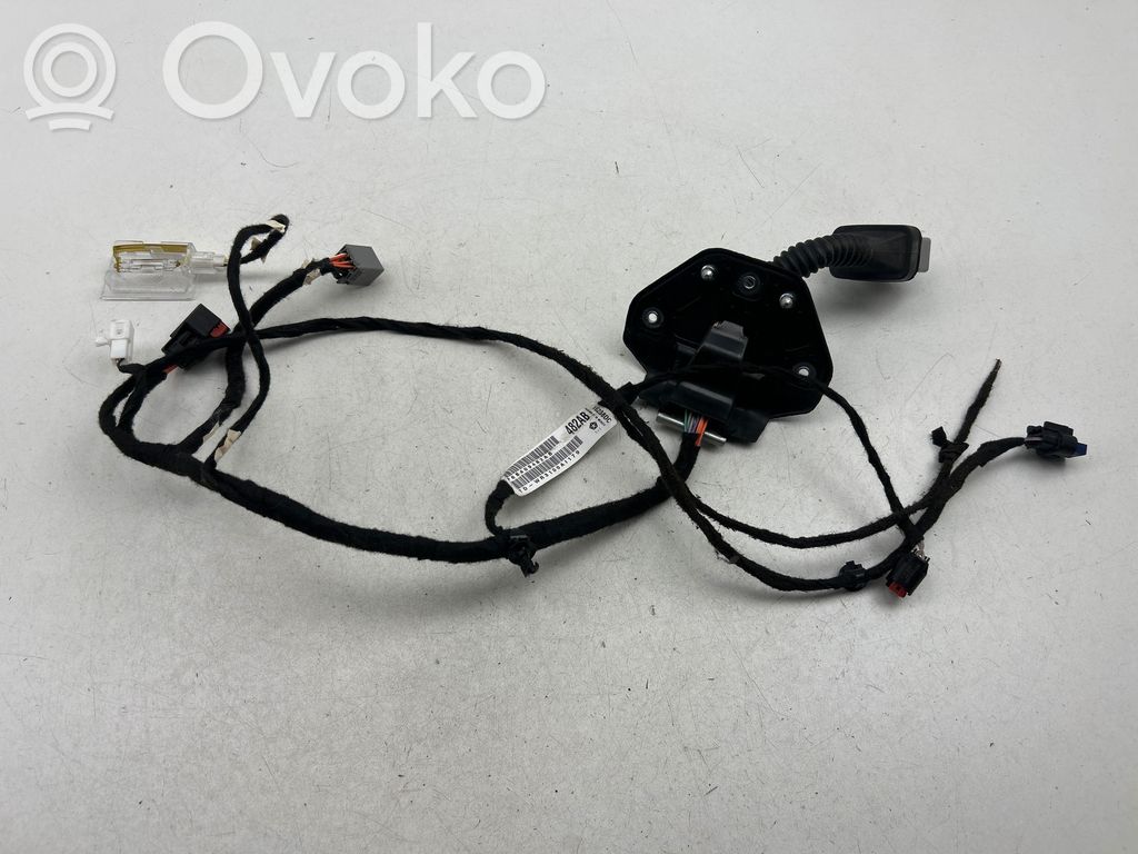 Dodge Charger Cableado de puerta trasera 