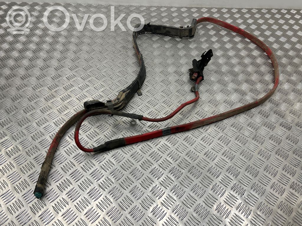 Positive cable (battery)   6927704,6149249,10092006