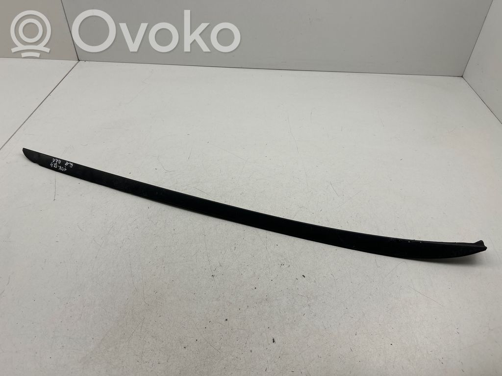 Ford Focus Windshield trim 
