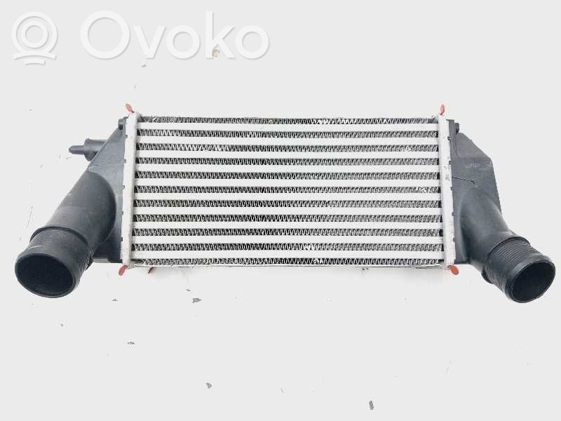 Ford Tourneo Interkūlerio radiatorius 