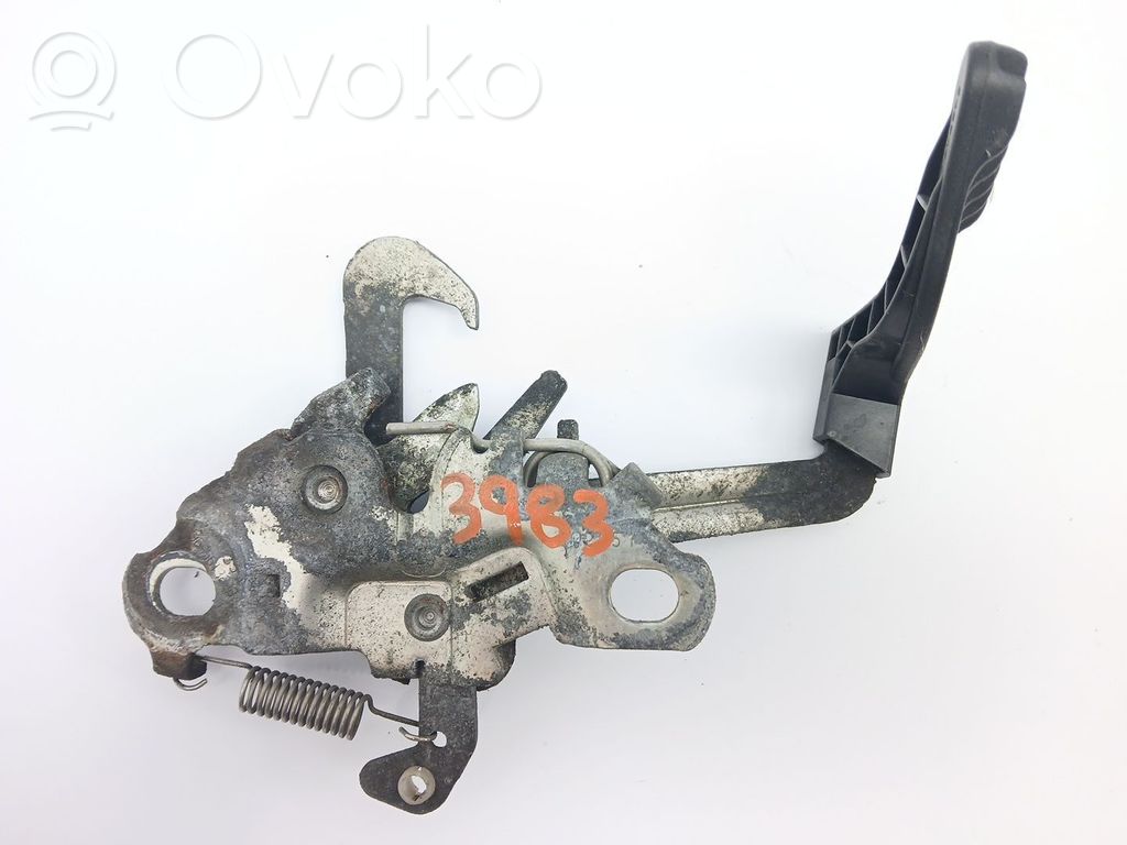Tie down hook / loop   7934E5
