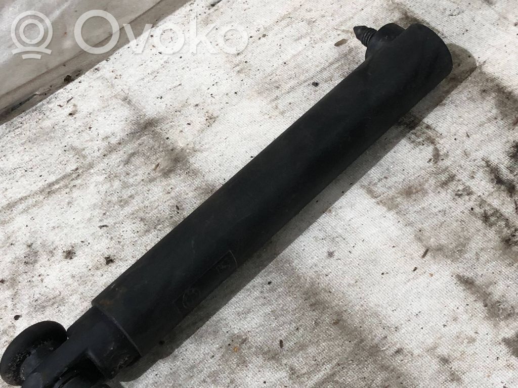 Tailgate/trunk strut/damper   7149631