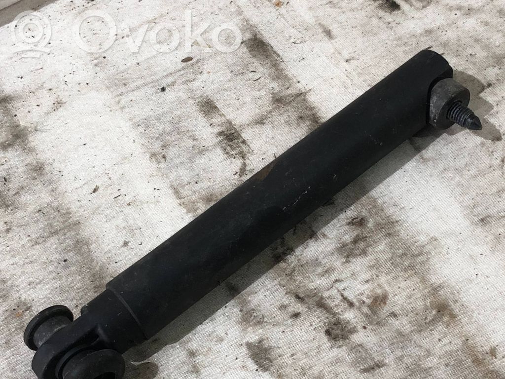 Tailgate/trunk strut/damper   7149631