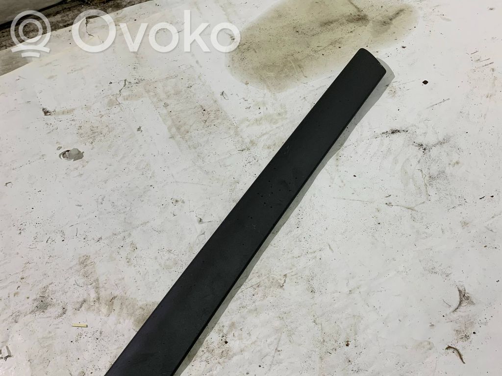 BMW 3 E46 Front door trim (molding) 