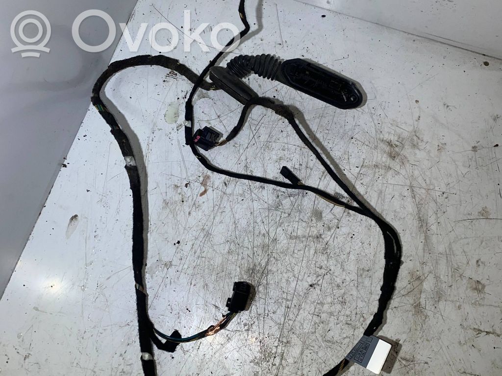 Cableado de puerta trasera   13318810,6913084,2D072135