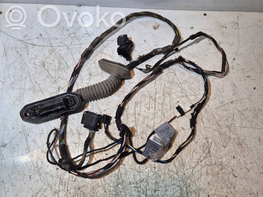 Cableado de puerta trasera   6938249,11107811,EE540U