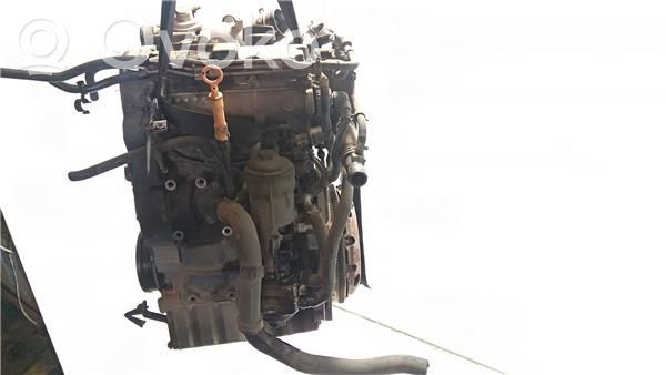 Seat Ibiza III (6L) Motor complet pentru înlocuire 