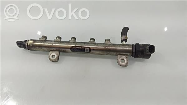 Rampa inyectora   55200266