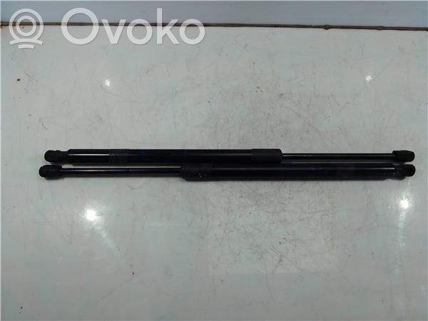 Jeep Compass Takaluukun/tavaratilan rajoitin 
