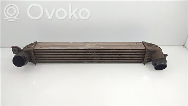 Radiatore intercooler   1751850690401