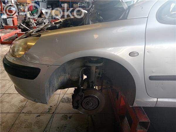 Peugeot 307 Aile 