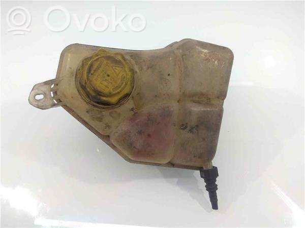 Ford Fiesta Zbiornik wyrównawczy paliwa 
