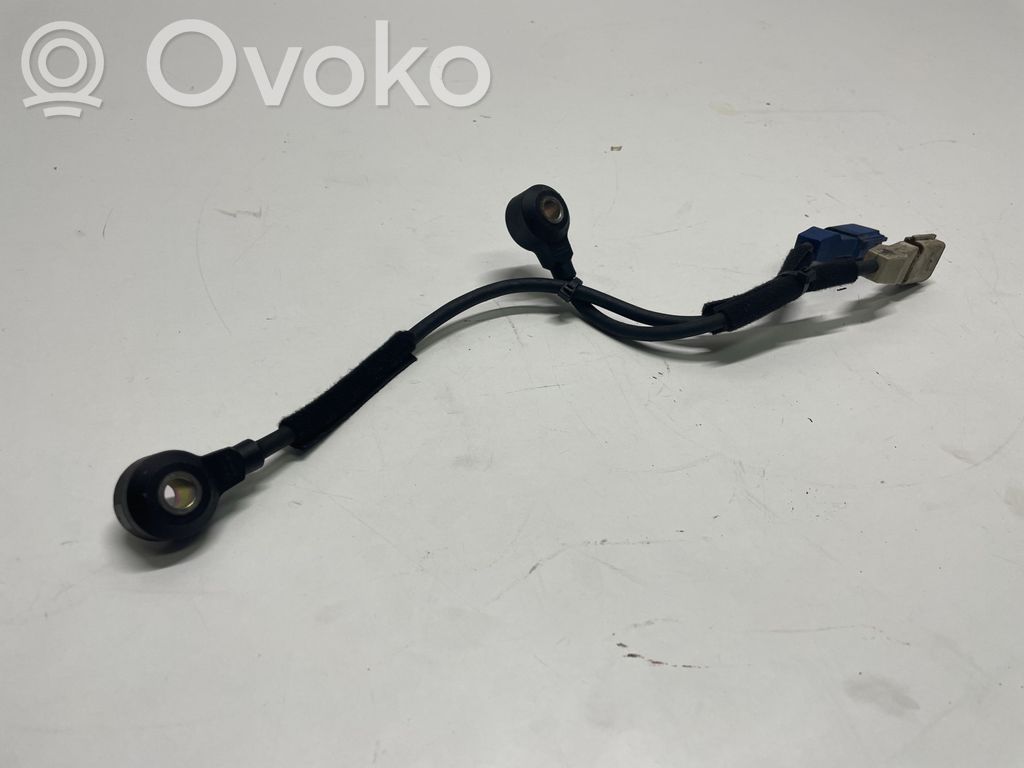 Audi A6 S6 C6 4F Sensor de petardeo del motor 