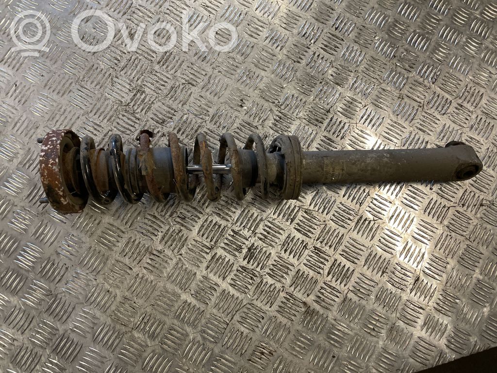 Stoßdämpfer hinten   1093646