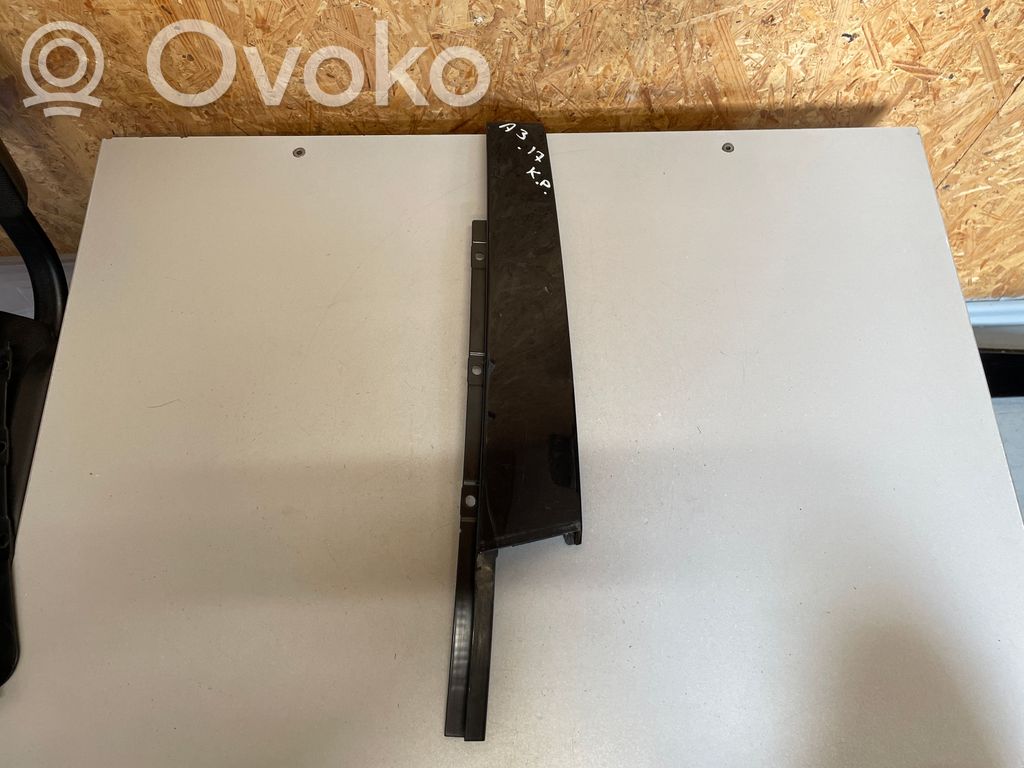 Listwa / Uszczelka szyby drzwi przednich   8V4837901