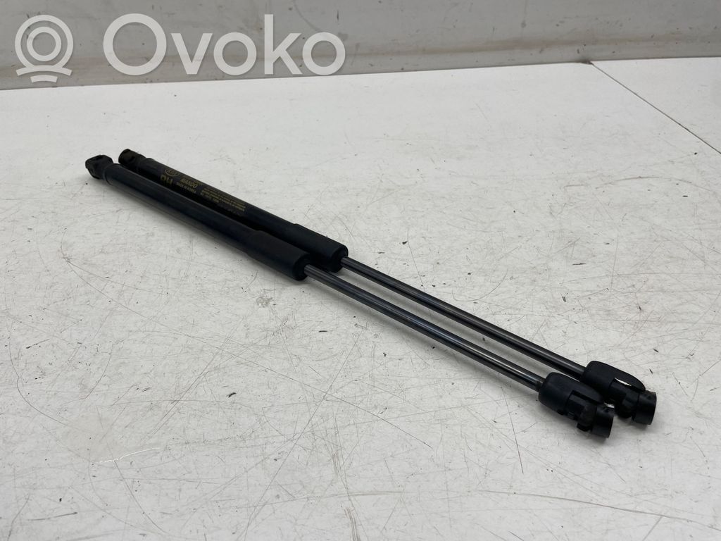 KIA Niro Tailgate/trunk strut/damper 