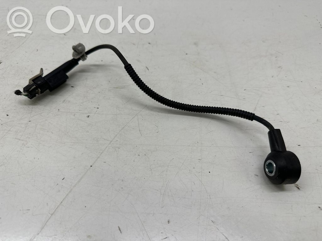 KIA Niro Nakutusanturi 