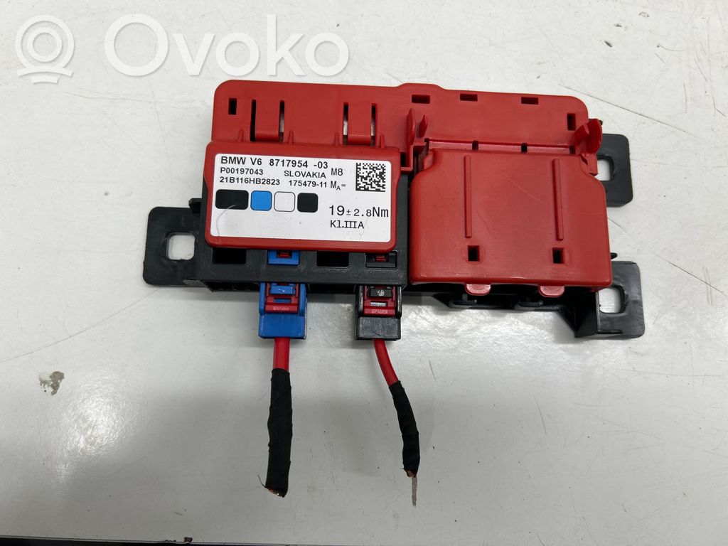 BMW iX3 G08 Positive wiring loom 