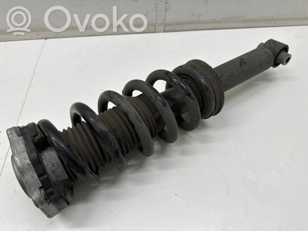 Stoßdämpfer hinten   6891987