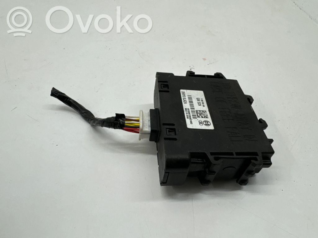 Dacia Spring Other control units/modules 