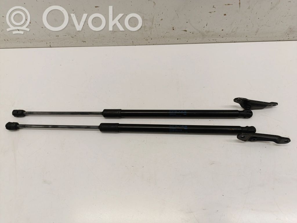 Volkswagen T-Roc Tailgate/trunk strut/damper 
