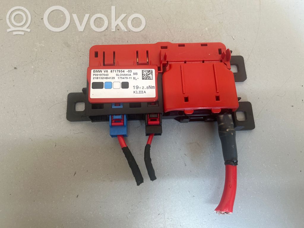 BMW iX3 G08 Positive wiring loom 