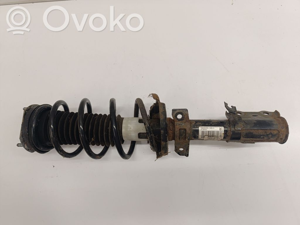 Amortyzator przedni   C1BC18045BG