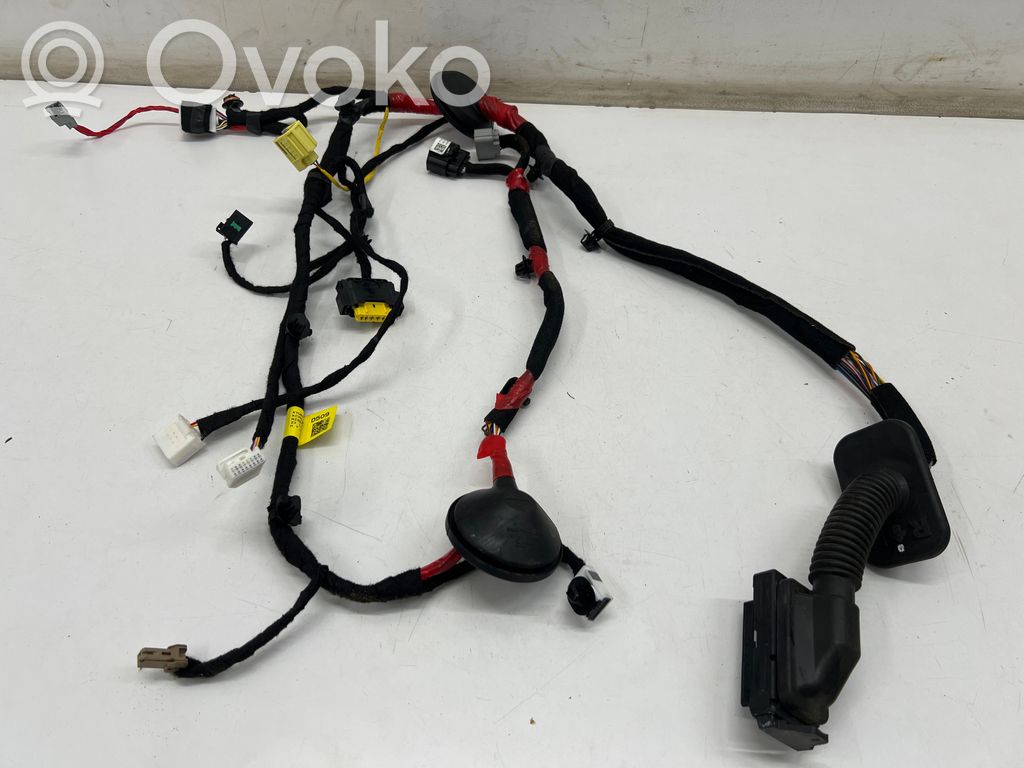 KIA EV6 Cablaggio porta anteriore 