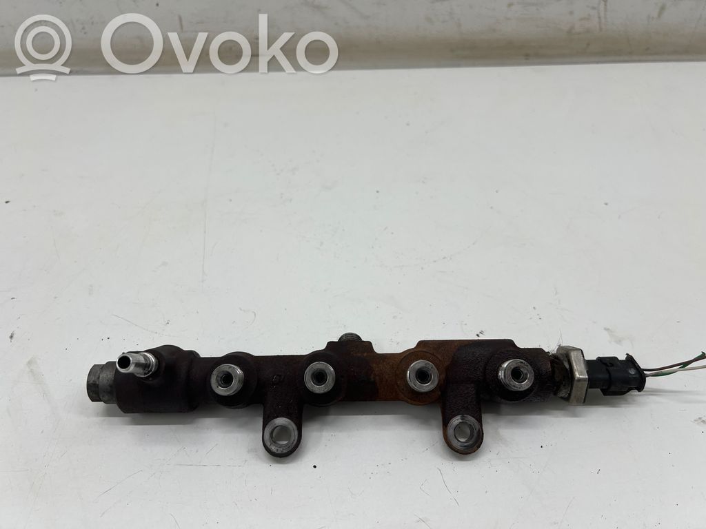 Citroen Berlingo Kraftstoffverteiler Einspritzleiste Verteilerrohr 