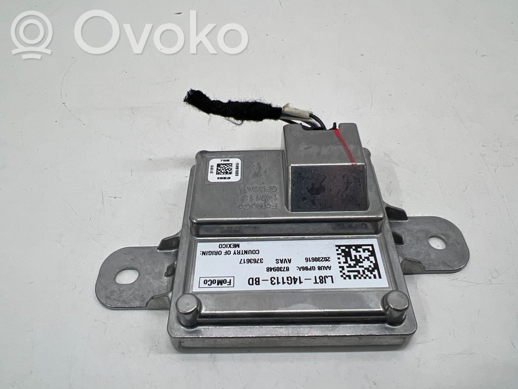 Ford Mustang Mach-E Other control units/modules 