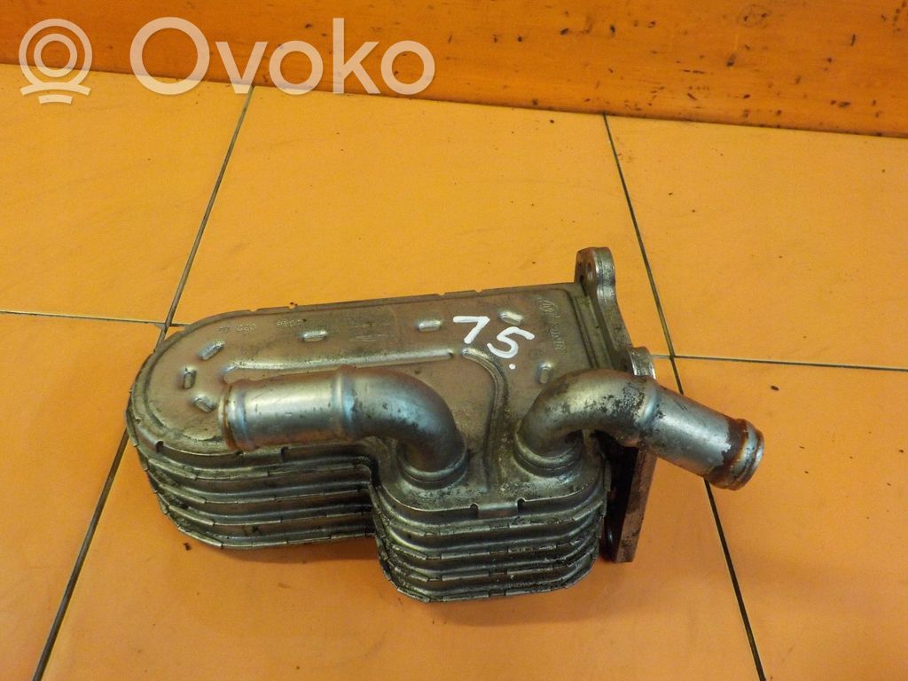 Dodge Nitro EGR dzesētājs 