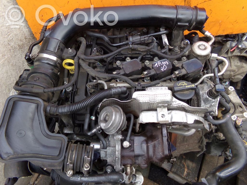 Engine   SFJC,SFJD,19MB40