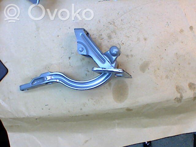 Tailgate/trunk/boot hinge   G5182100