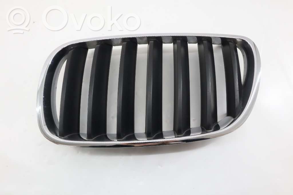 BMW X3 E83 Front bumper lower grill 