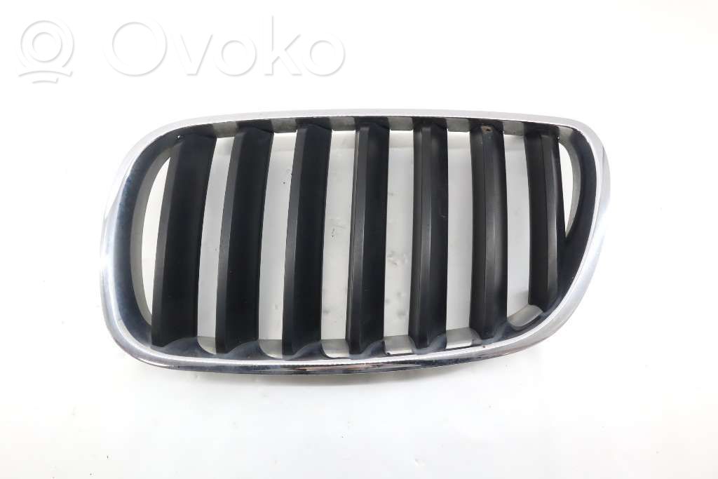 BMW X3 E83 Front bumper lower grill 