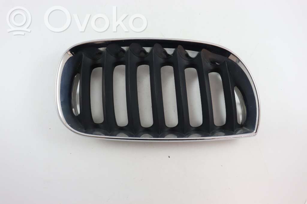 BMW X3 E83 Front bumper lower grill 