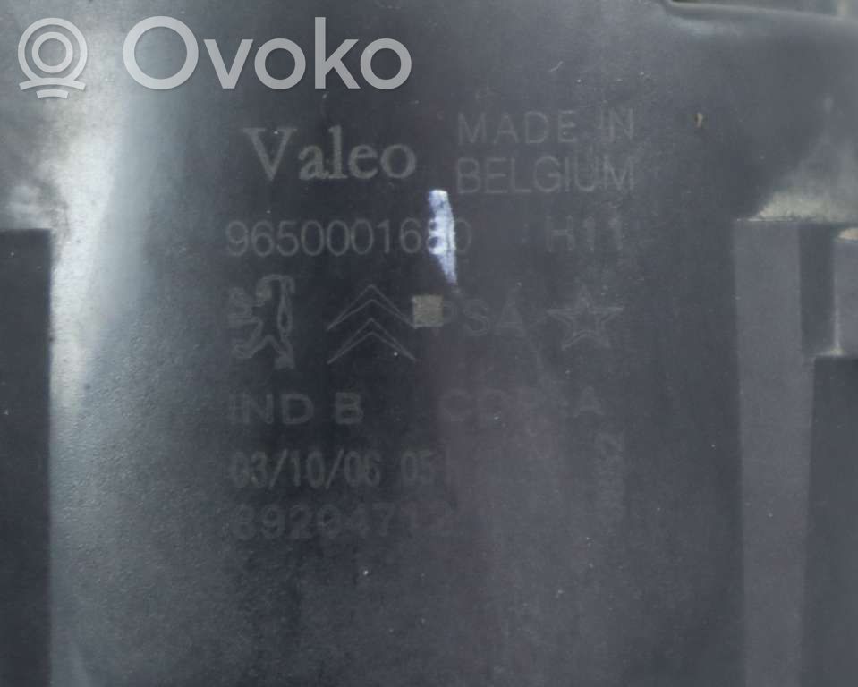Peugeot 207 Fendinebbia anteriore 