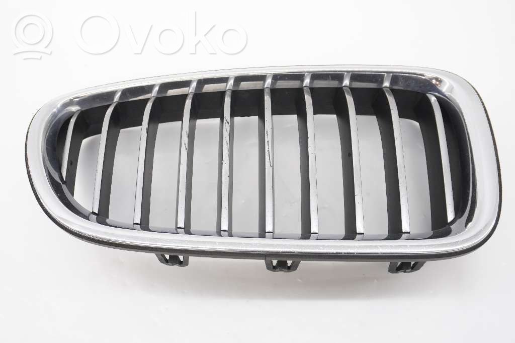 BMW 5 F10 F11 Mascherina inferiore del paraurti anteriore 