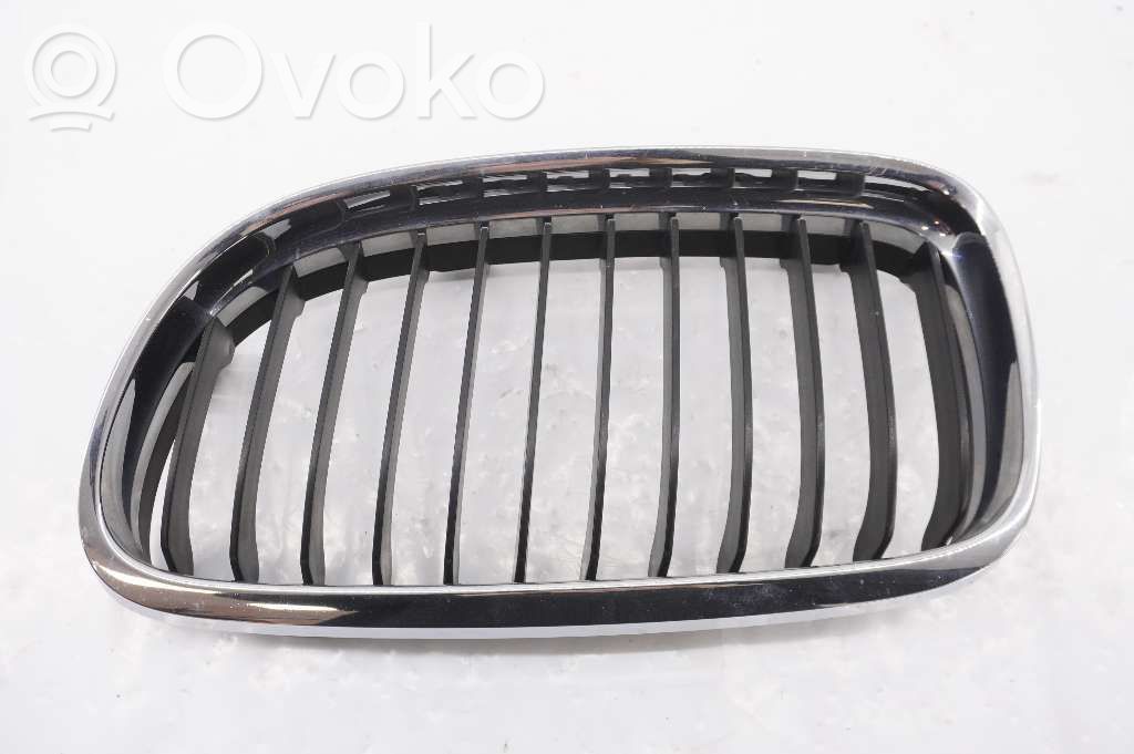 Front bumper lower grill   51137201967,22405910,51137201967