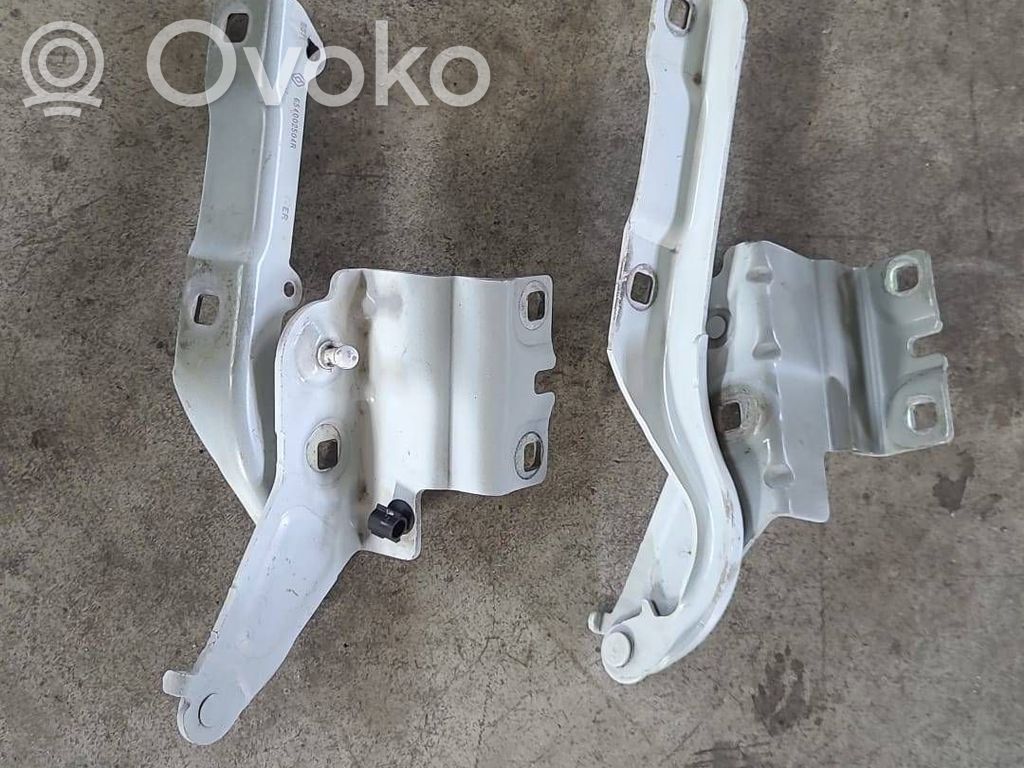 Engine bonnet/hood hinges