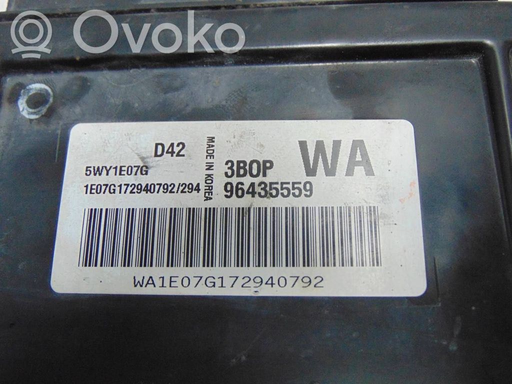 Engine control unit/module   96435559WA