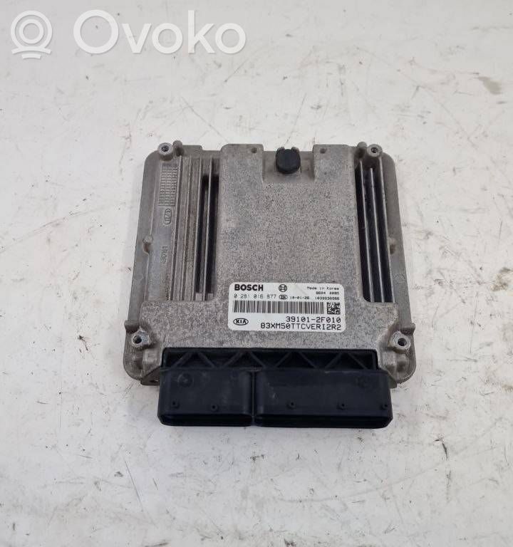 Engine control unit/module   391012F010