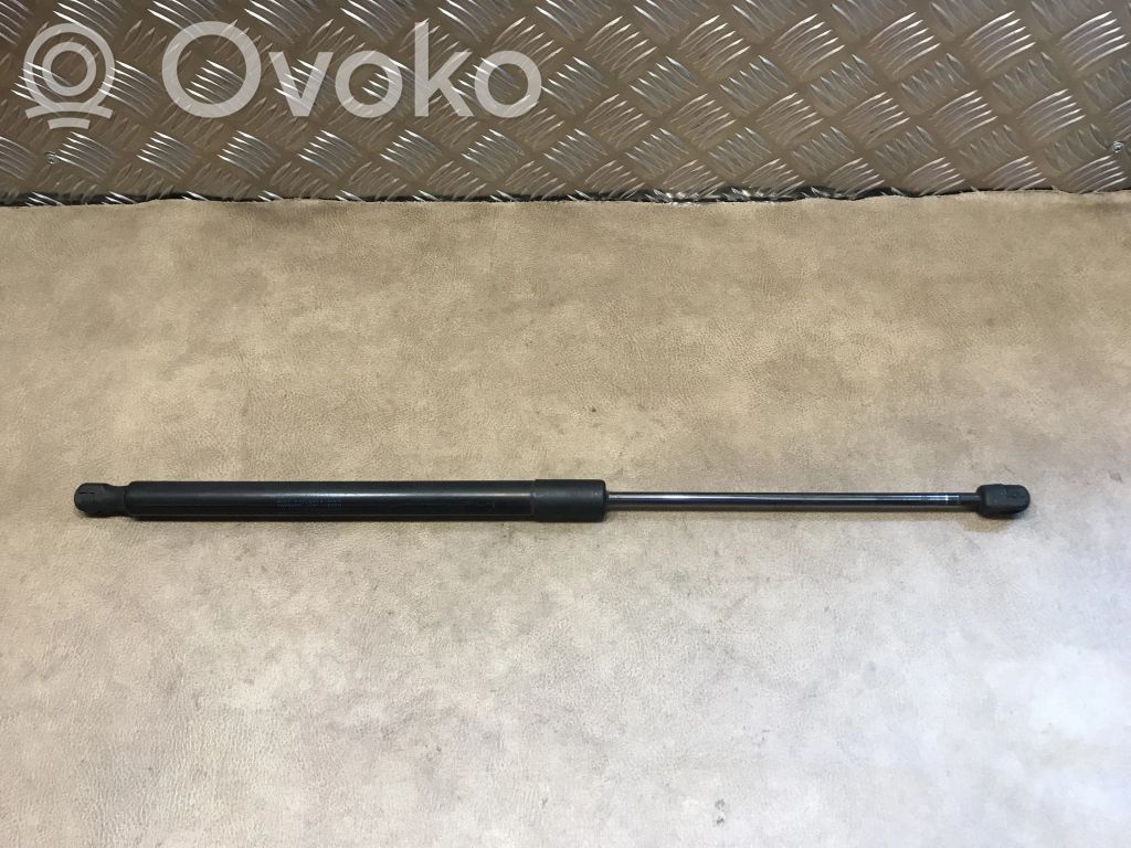 BMW X1 E84 Tailgate/trunk strut/damper 