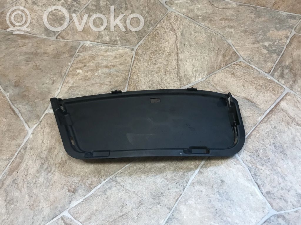 Front grill   8038061