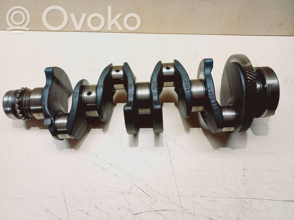 Crankshaft   7793901